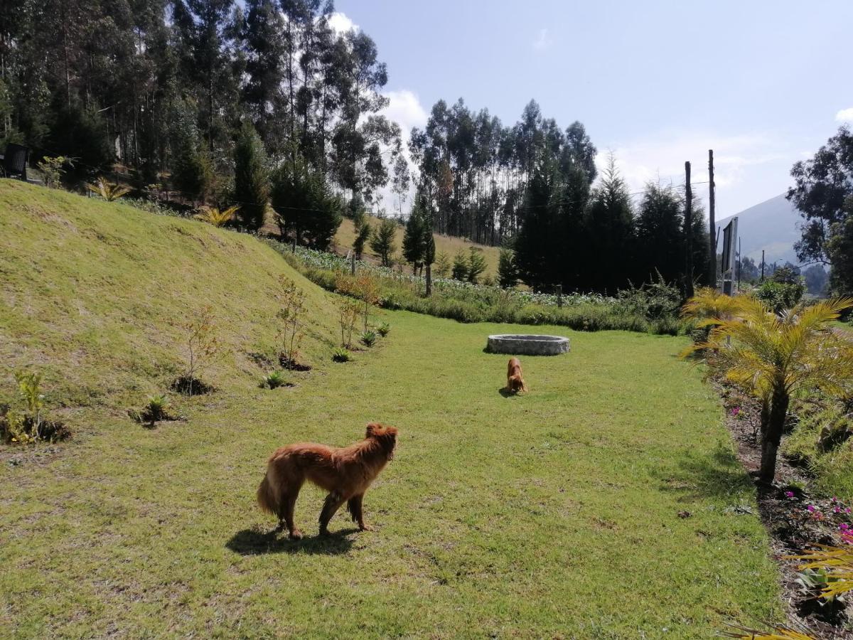 Samay Toa Hotel Otavalo Esterno foto