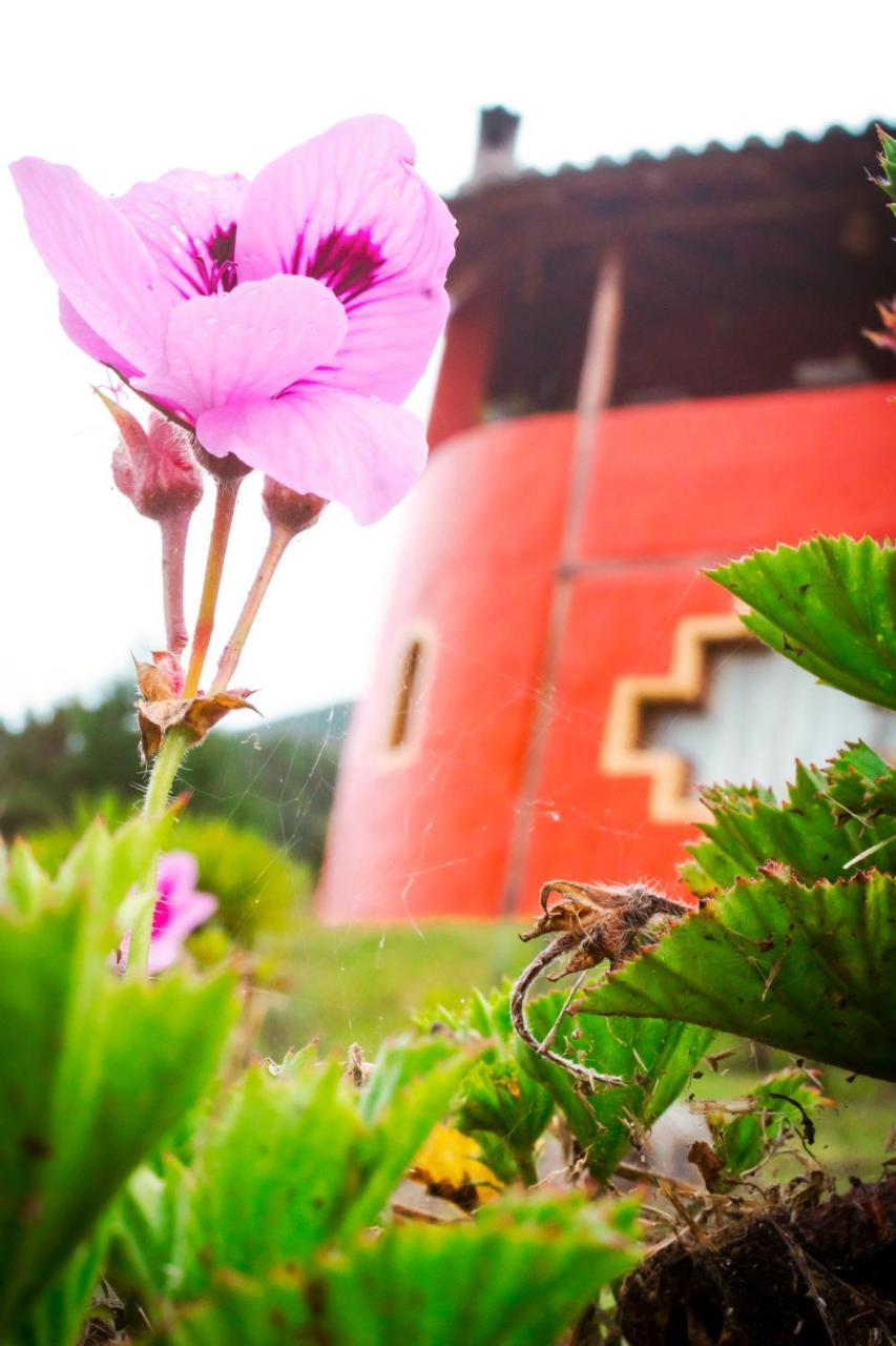 Samay Toa Hotel Otavalo Esterno foto